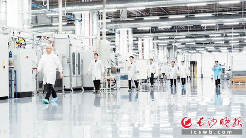 中國首臺800v高壓扁線膠粘定轉(zhuǎn)子產(chǎn)品 長沙造